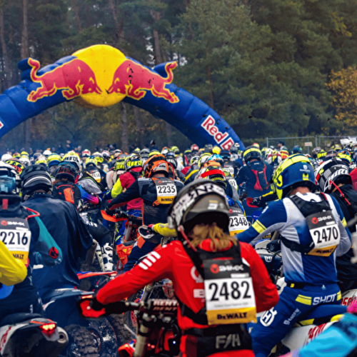 Gotland Grand National